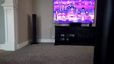 06girth online show from 03-22-26, 08:23