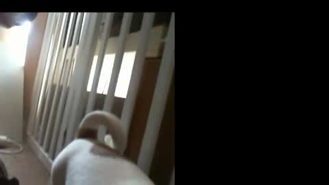 Snapshot of 10mm_socket chatting on 02-11-26, 06:07 10mm_socket online show from 02-11-26, 06:07