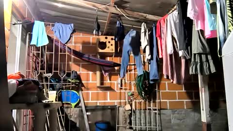 17cmpolla online show from 12-06-24, 04:14