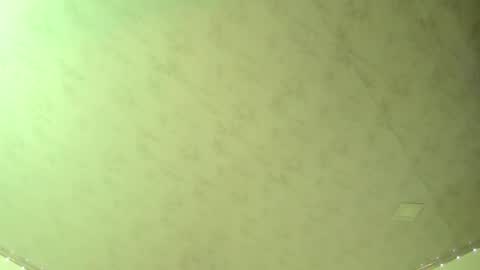 Snapshot of 19adam98 chatting on 03-08-25, 12:33 Adam and Venus online show from 03-08-25, 12:33