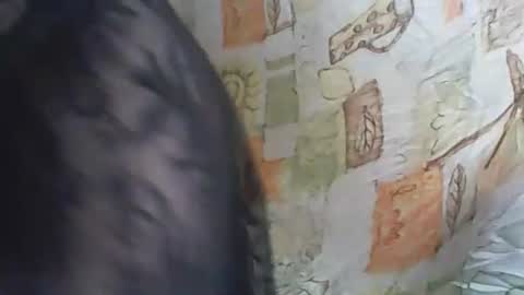 Deluxepussy online show from 11-14-25, 10:03