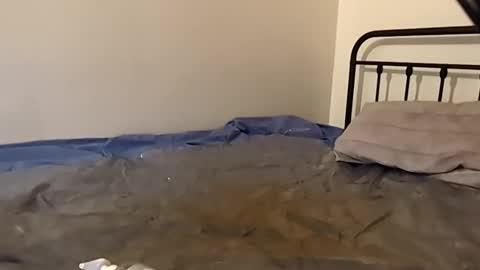 1toxiclust online show from 11-29-25, 02:36