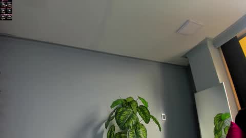 2_fire online show from 11-06-25, 08:54