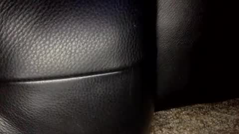 30nick online show from 01-18-26, 06:39