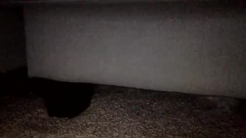 30nick online show from 02-02-26, 03:16