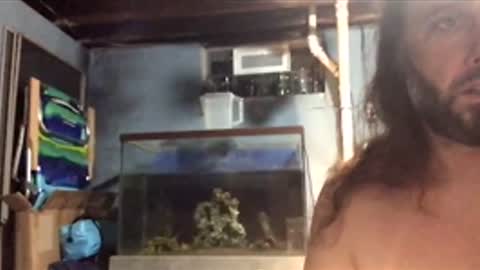 33adidas online show from 11-26-25, 08:48