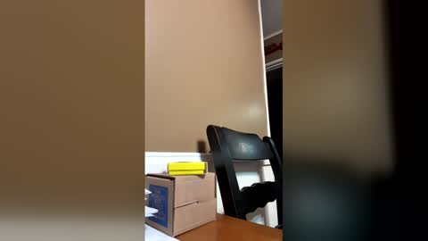 33adidas online show from 12-23-25, 09:07