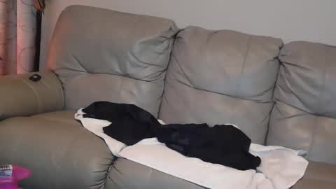 Snapshot of 4theloveofjane chatting on 01-01-25, 08:04 Jane online show from 01-01-25, 08:04