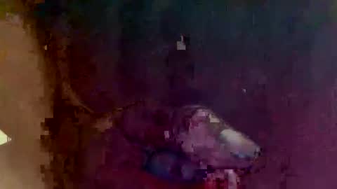 Snapshot of 4utootrynow859326 chatting on 03-02-26, 01:40 4utootry online show from 03-02-26, 01:40