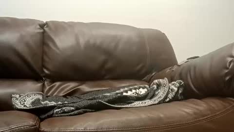 50groupauto online show from 01-14-26, 12:05