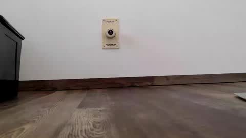 Steven online show from 01-13-26, 11:04