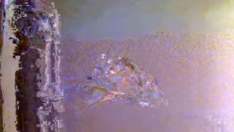 Snapshot of 60zeus60 chatting on 11-01-25, 06:15 Zeus online show from 11-01-25, 06:15