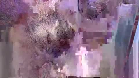 69bidam online show from 12-14-25, 02:11