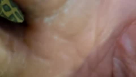 Snapshot of 69dick_fitzwell69 chatting on 12-07-24, 09:00 HUGH G RECTION online show from 12-07-24, 09:00