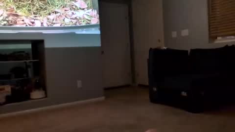 69singledad79 online show from 03-10-25, 04:17