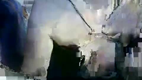 Lilu online show from 01-12-26, 09:53