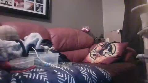 7inchking269 online show from 02-28-26, 02:45