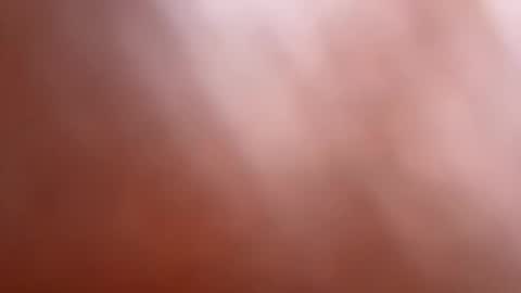 bob big head online show from 03-12-25, 06:29