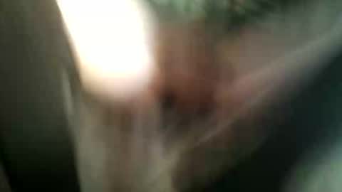 8675309r2d2 online show from 11-09-25, 06:55