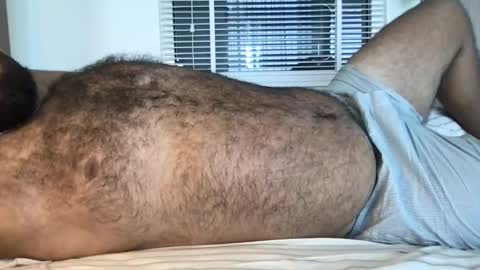 Snapshot of _alan_bear_ chatting on 02-13-26, 03:46 Alan online show from 02-13-26, 03:46