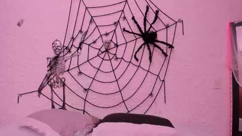 Alexander online show from 10-22-25, 04:46