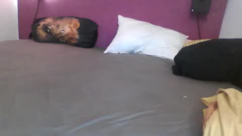 Snapshot of _bertl_ chatting on 10-25-25, 08:36 _bertl_ online show from 10-25-25, 08:36