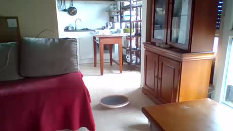 _bubble_buttfunxxx online show from 10-11-25, 09:41