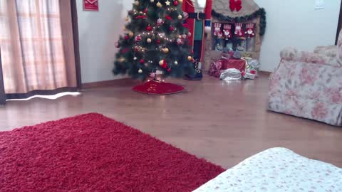 Snapshot of _candygirl20 chatting on 01-15-25, 05:58 candygirl online show from 01-15-25, 05:58