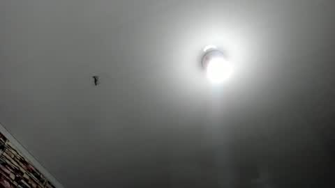 _casandra11 online show from 02-17-25, 03:36