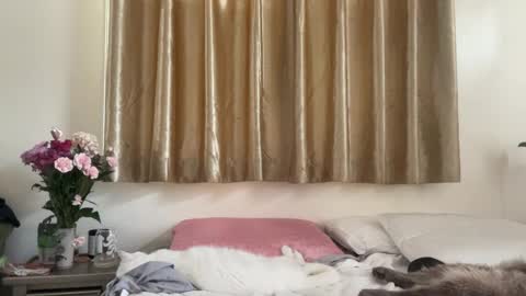 Chelsea xo online show from 02-16-25, 09:16