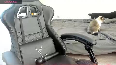 Alis online show from 10-07-25, 07:27