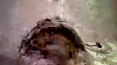 Snapshot of _hershey003 chatting on 01-11-25, 08:33 _hershey003 online show from 01-11-25, 08:33