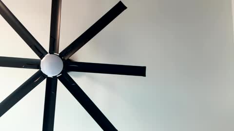 Little Wolfie online show from 01-11-25, 10:07