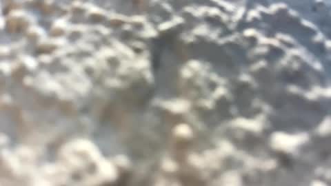 Little Wolfie online show from 02-03-25, 04:10