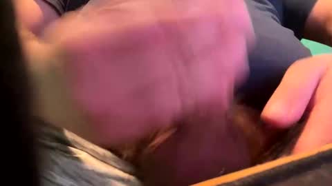 Snapshot of _peterson_ chatting on 01-15-25, 10:24 _peterson_ online show from 01-15-25, 10:24