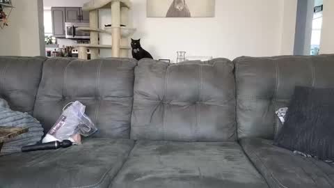 Snapshot of _sophia_grace_ chatting on 11-12-25, 05:13 SophiaGraceKnight online show from 11-12-25, 05:13