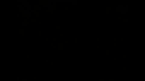 Melisa online show from 12-02-24, 02:41