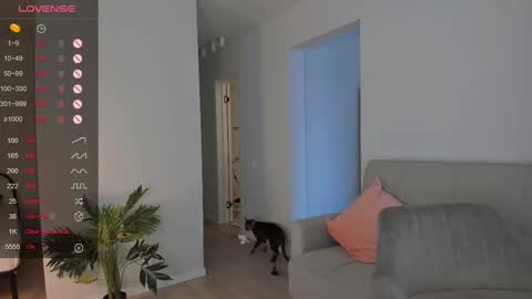 Tessa -  online show from 02-10-25, 09:58