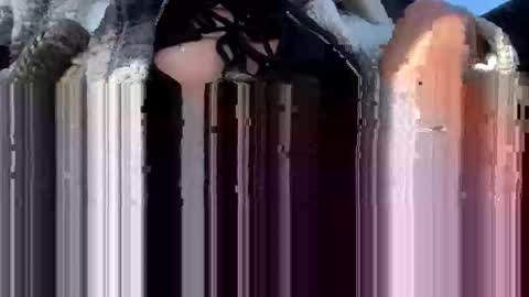 a_rae93 online show from 10-14-25, 04:19