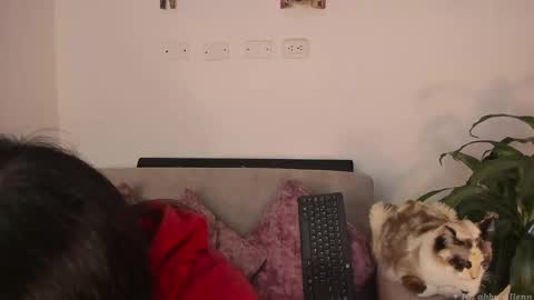 Abbey  IG abby allenn  04 December Online at  I will be on vacation dont forget me  See you soon   online show from 03-07-25, 11:38