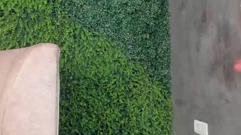 A B B Y online show from 02-11-25, 03:18