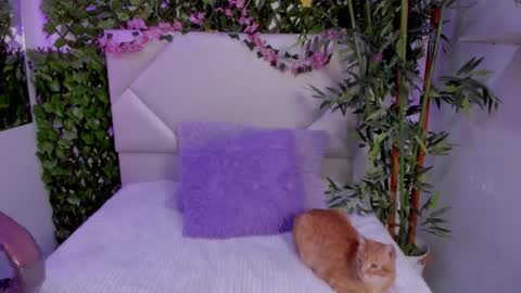 ABBY online show from 11-12-25, 03:56