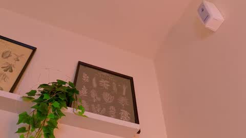 A B B Y online show from 02-23-26, 12:02