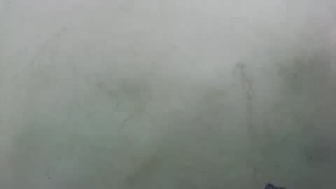 Snapshot of abella677022 chatting on 02-16-26, 08:16 abella677022 online show from 02-16-26, 08:16