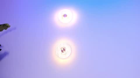 Abi online show from 09-27-25, 02:05