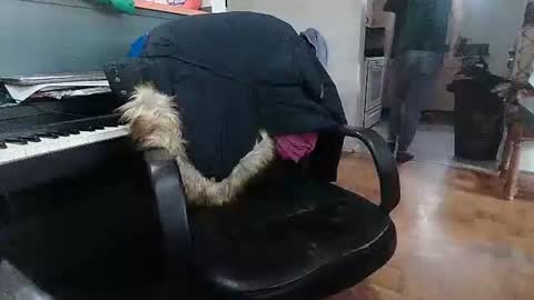 Snapshot of adamk3 chatting on 02-18-26, 09:22 Adam and Logan online show from 02-18-26, 09:22