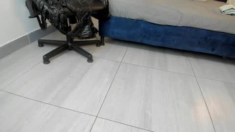 adbel sady online show from 12-04-24, 11:08