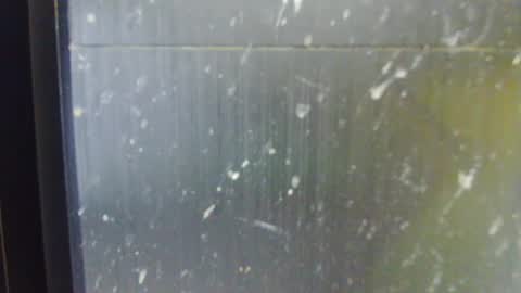 Snapshot of adiraxo chatting on 10-13-25, 01:22 adiraxo online show from 10-13-25, 01:22