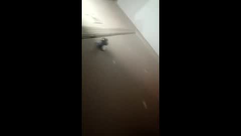 afnuke000 online show from 03-04-26, 09:15