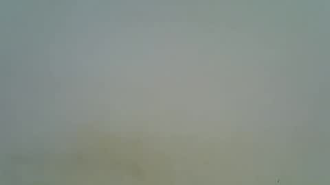 afronubians online show from 03-06-25, 08:37